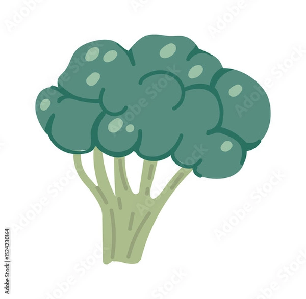 Obraz Cartoon broccoli with textured florets and thick stem, embodying healthy eating and nutritious green vegetables, perfect for promoting healthy lifestyles