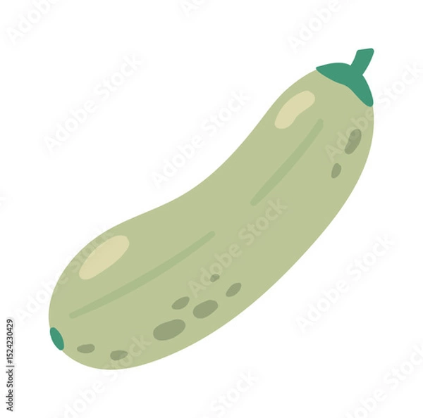 Obraz Cartoon illustration of a single zucchini with green stem laying on a white background, representing healthy eating, veganism, and farm to table concepts