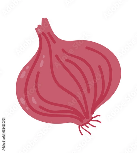 Obraz Cartoon illustration of a red onion with visible texture and roots, isolated on a white background, representing healthy eating and fresh ingredients for cooking
