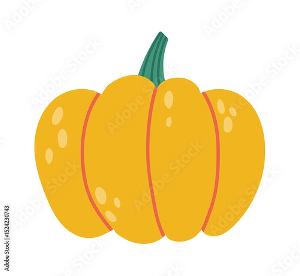 Obraz Simple vector illustration of a ripe pumpkin squash with green stem, representing the autumn harvest season and the spirit of Halloween and Thanksgiving celebrations