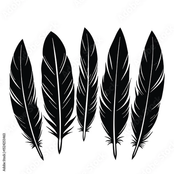 Obraz Black and white feather illustration vector design element graphic resource isolated on white background
