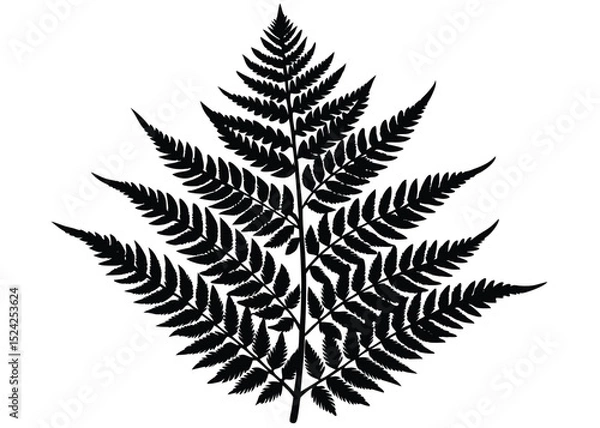 Obraz Fern silhouette vector graphic design botanical illustration nature plant isolated on white background
