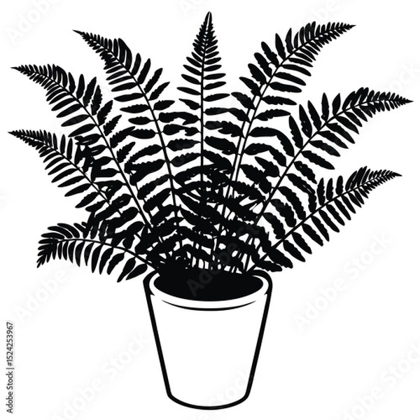 Obraz Fern plant in pot graphic illustration vector drawing silhouette for design and decoration element
