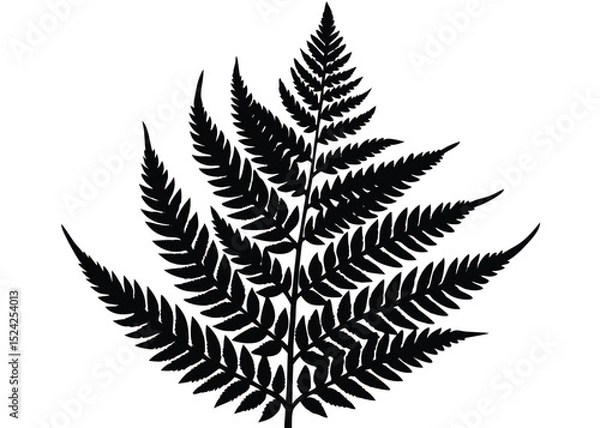 Obraz Black fern silhouette vector illustration for botanical designs and nature inspired graphic elements use 

