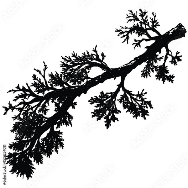 Obraz Black and white drawing of tree branch silhouette vector illustration for design and creativity art work
