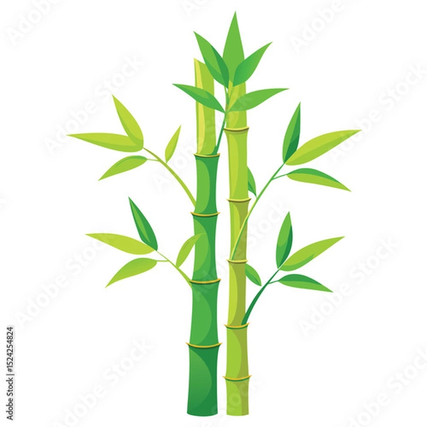 Obraz Illustration of green bamboo stalks with leaves for nature asian zen and garden design elements vector art
