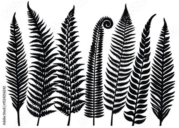 Obraz Black fern silhouette vector illustration for botanical design and nature inspired art projects decor
