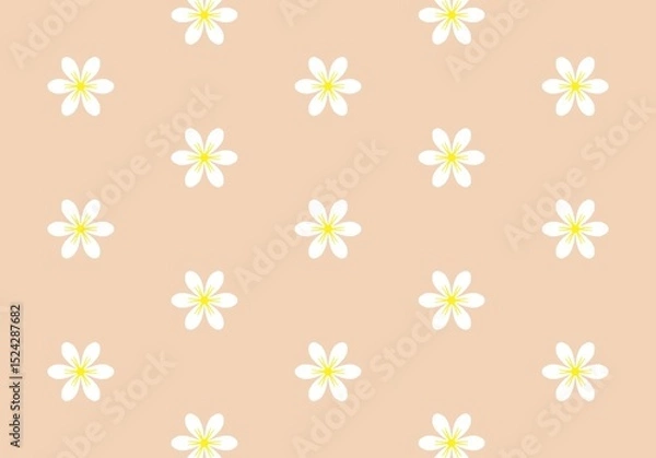 Fototapeta Pretty Peach Background with White Flower Pattern Seamless Floral Design for Textile and Web (Created by graphics program)