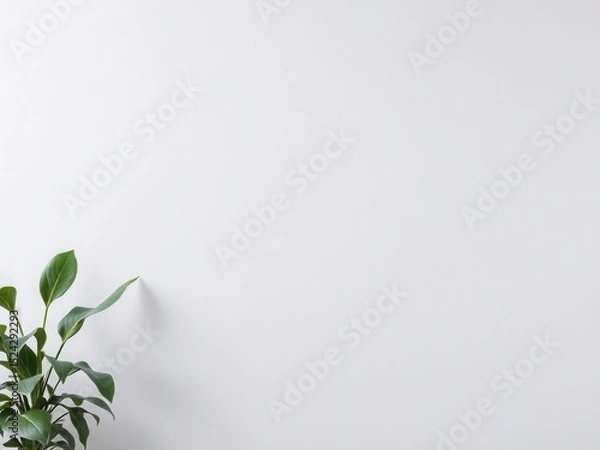 Fototapeta A clean, white wall with a small green plant in the corner. The interior space is minimalistic and bright, ideal for mockup designs.