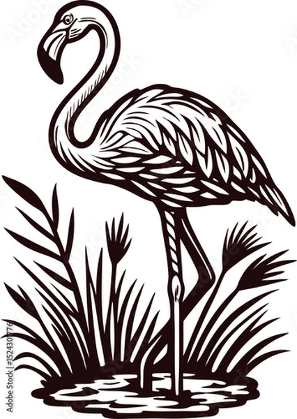 Fototapeta Vintage engraved flamingo standing in marsh reeds hand drawn black and white illustration