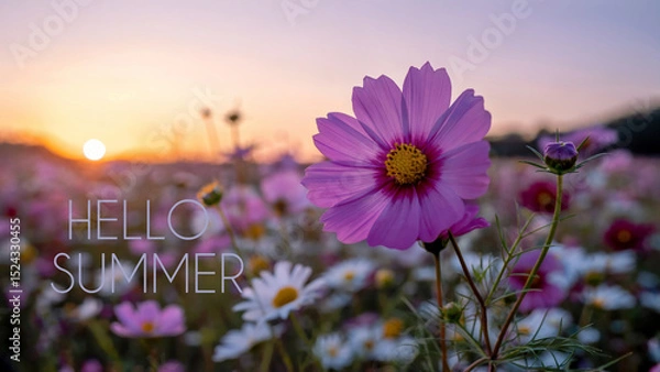 Obraz Hello Summer text against blooming wildflowers  and sunset or sunrise sky. Summertime, summer solstice concept.	