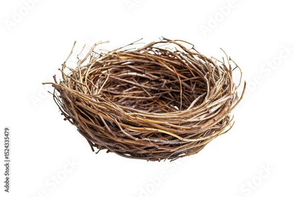 Obraz Empty bird nest isolated on transparent background