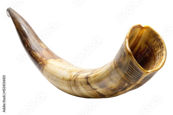 Obraz old shofar horn isolated on white