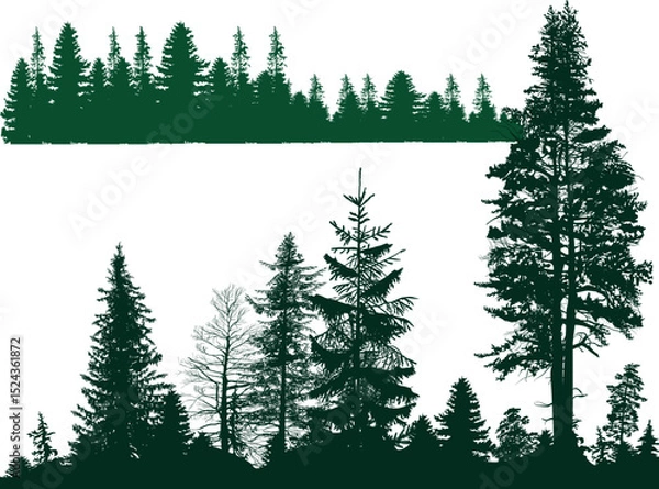 Obraz two lines with  fir forest green silhouettes