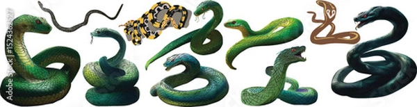 Obraz nine color snakes isolated on white