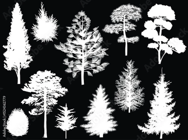 Obraz different trees eleven silhouettes isolated on black