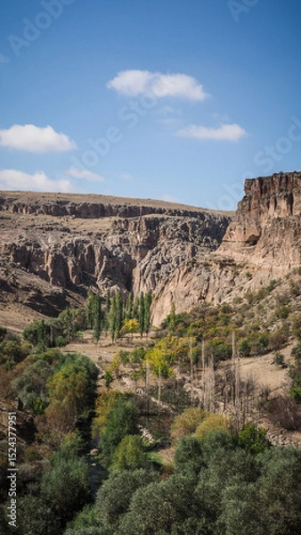 Fototapeta The landscape of Ihlara Valley in the Cappadocia region, Turkey