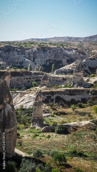 Fototapeta Unique rock formations in the Cappadocia region in Turkey