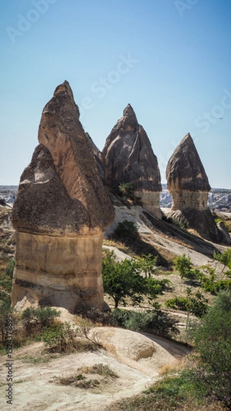 Fototapeta Unique rock formations in the Cappadocia region in Turkey