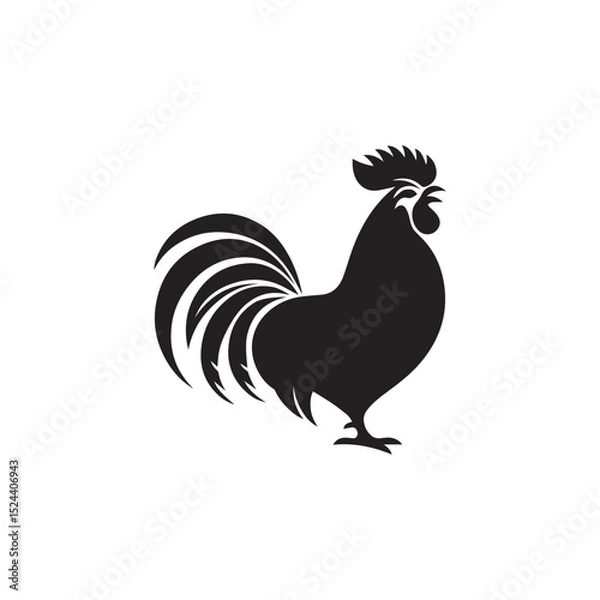 Obraz Rooster