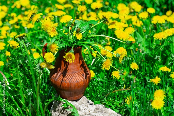Obraz bouquet of blooming dandelions in a jar