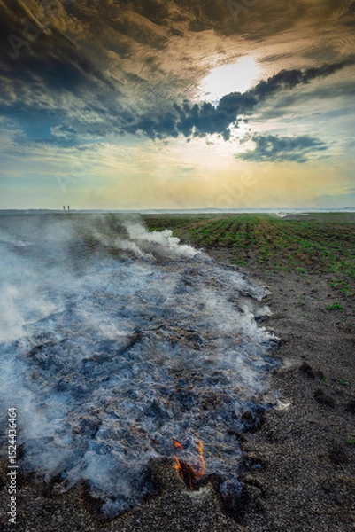 Obraz smoke over the field