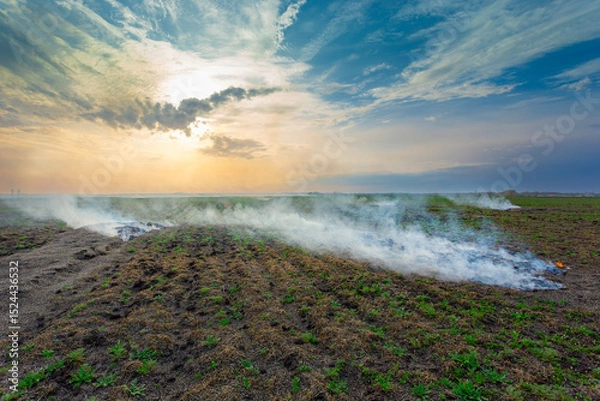 Obraz smoke over the field