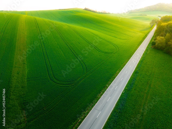 Obraz Scenic view of lush green fields and a winding road during golden hour
