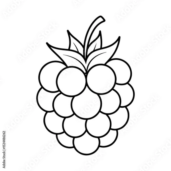 Fototapeta Illustration of a raspberry with leaves and stem in black outline on a white background image design