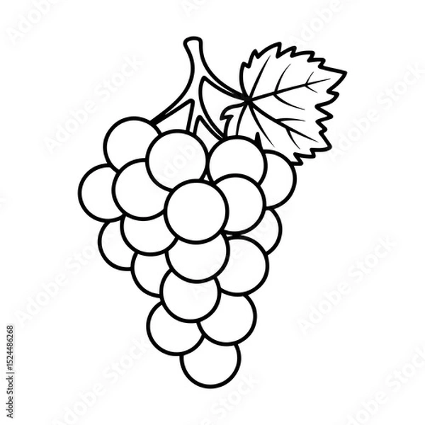Fototapeta Illustration of a grape bunch with a leaf and stem in a simple black and white outline design style