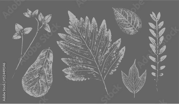 Fototapeta Fern botanical illustration sketch drawing on neutral gray for decorative print or natural background. Floral motif for card or invitation design.