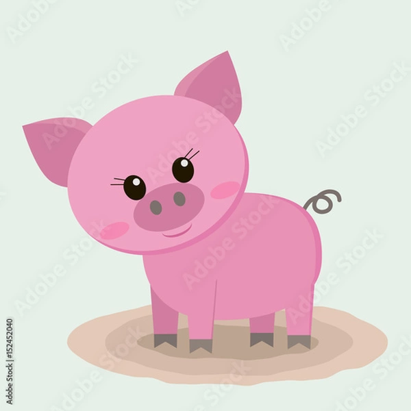 Fototapeta The pig is standing in a puddle.