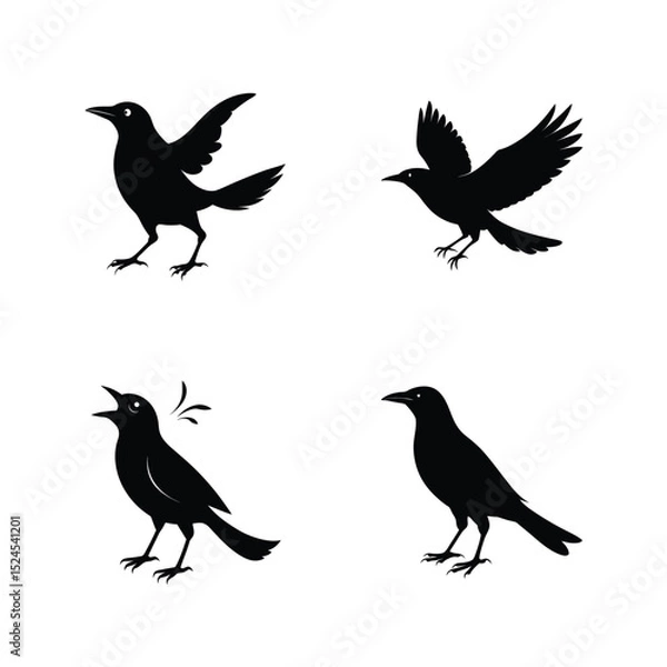 Fototapeta Grackle bird silhouette set with blackbird silhouettes in alert and dynamic poses vector illustration.
