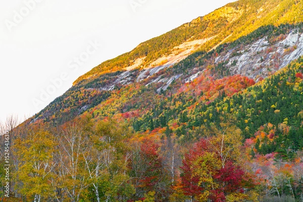 Fototapeta colorful mountain cliff in autumn