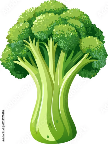 Obraz A close-up illustration of a fresh and vibrant broccoli vegetable