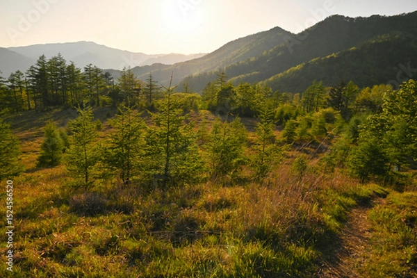 Obraz 夕焼けの登山道