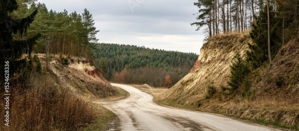 Fototapeta Winding Road Through Autumnal Forest Landscape with Cloudy Sky Overhead, Leading into the Distance