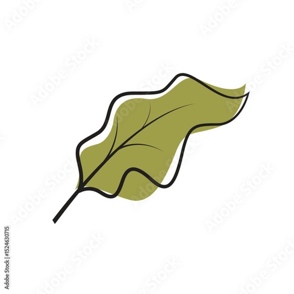 Obraz simple green leaves for decoration logo vector