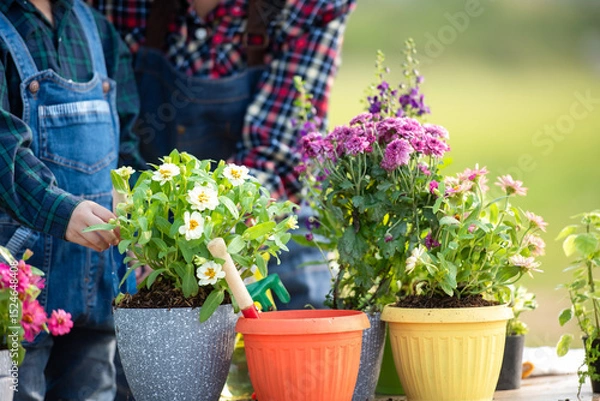 Fototapeta Close up hands kid daughter helping mother water and sapling  the plant tree outdoors in nature spring for reduce global warming growth feature and take care nature earth.  Environment Concept