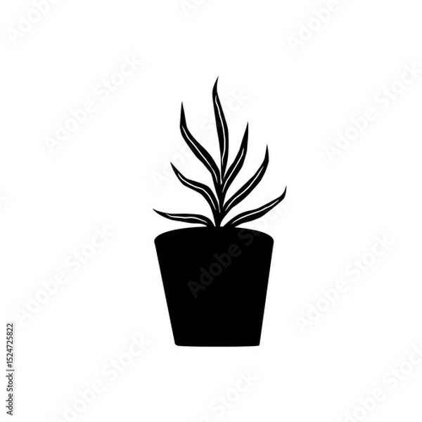Obraz plant in a pot