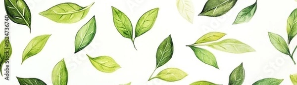 Fototapeta Various green leaves on a white isolated background.