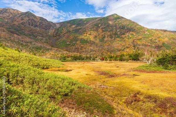 Fototapeta 日本の風景・秋　栂池高原　紅葉の栂池自然園