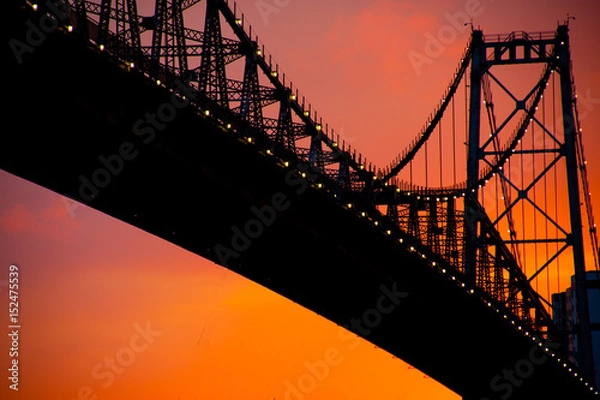 Obraz Bridge Floripa