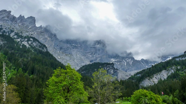 Obraz Switzerland, Meiringen, a tree with a mountain in the background