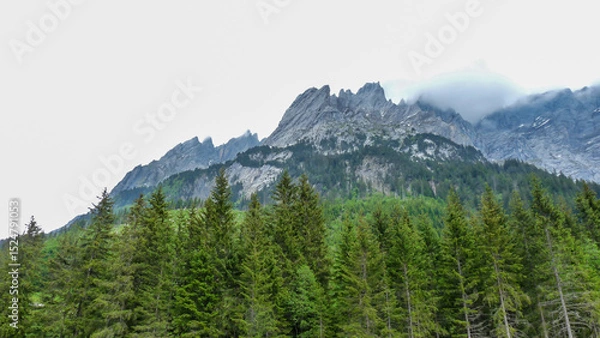Obraz Switzerland, Meiringen, a tree with a mountain in the background
