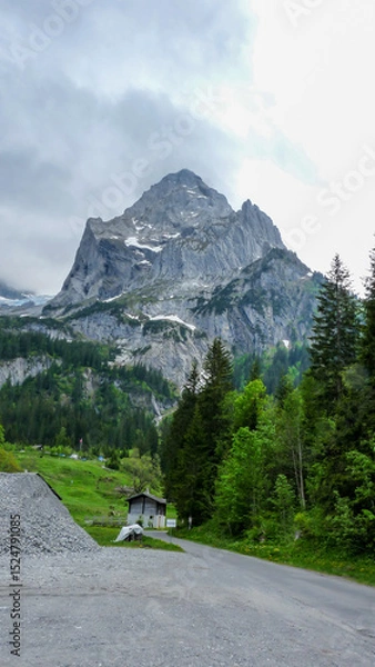 Obraz Switzerland, Meiringen, a tree with a mountain in the background