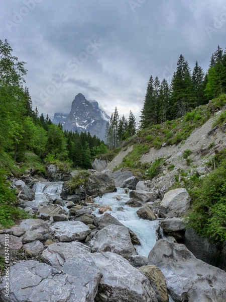 Obraz Switzerland, Meiringen, a rocky river with trees on the side of a mountain