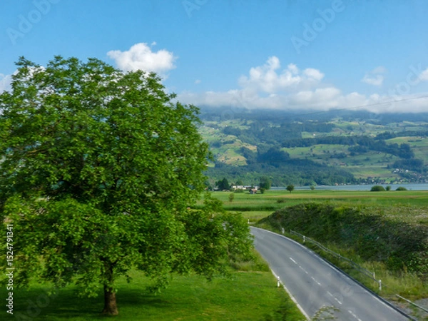 Obraz Switzerland, Meiringen, a view of a lush green field