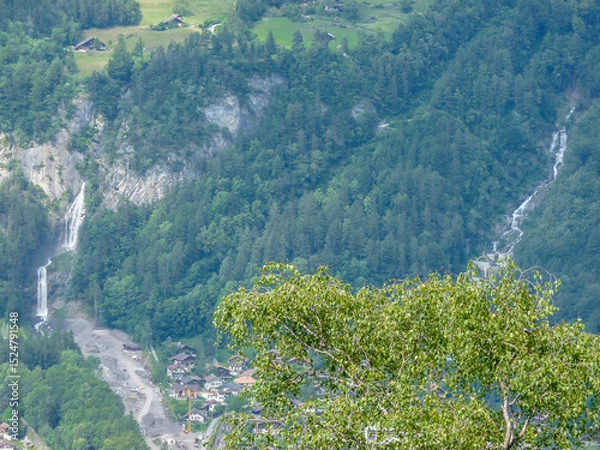 Obraz Switzerland, Meiringen, a tree with a mountain in the background