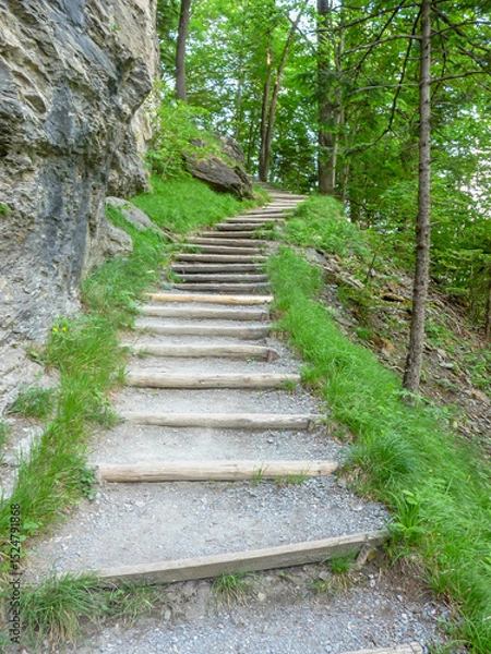 Obraz Switzerland, Meiringen, a path surrounded by trees